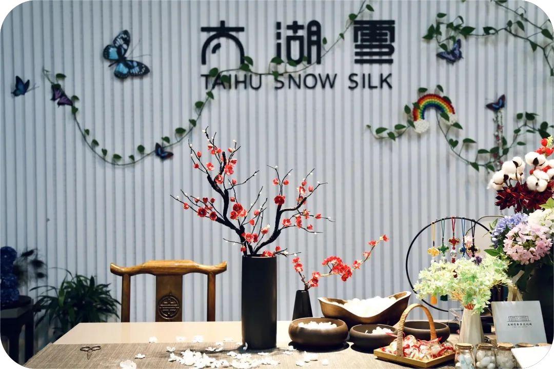 Art des cocons de vers à soie de Taihu Snow Silk