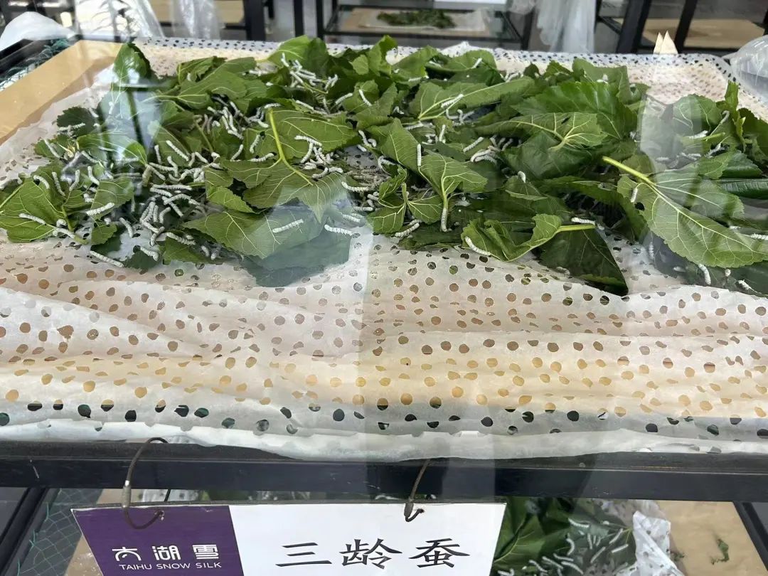 Taihu Snow Silk (9)
