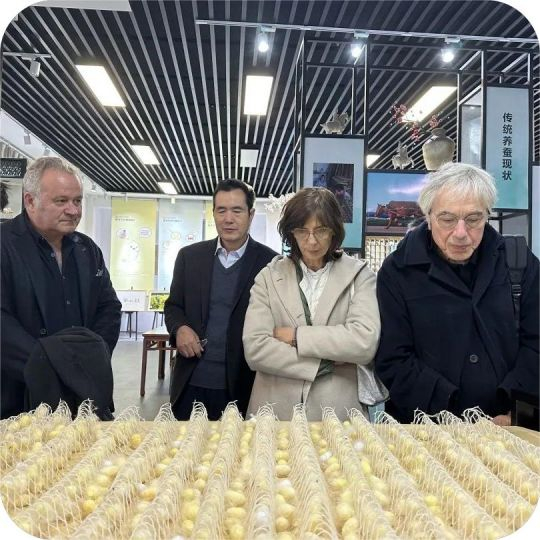 clients de soie de neige taihu (8)