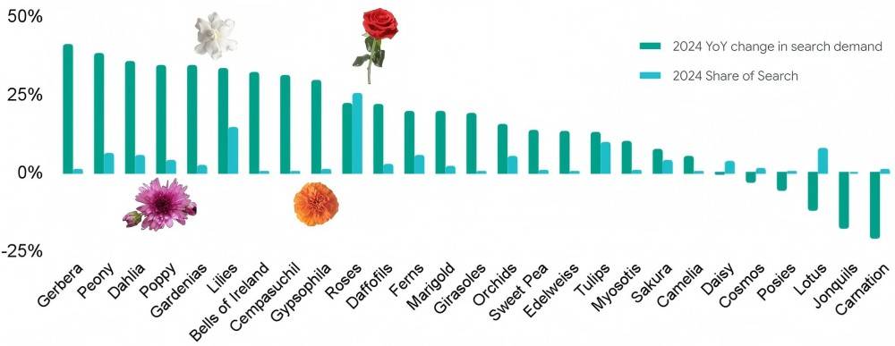 Recherches de fleurs (1)